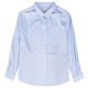 Men's Blue Oxford Shirt